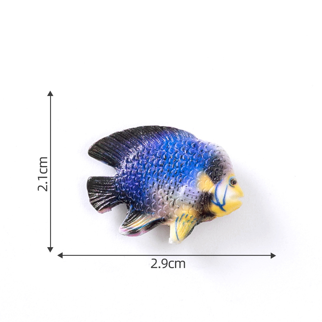Non.1 poisson bleu