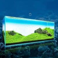 Panneau de fond lumineux en acrylique pour aquarium, dégradé de couleurs, panneau lumineux LED, panneau de fond