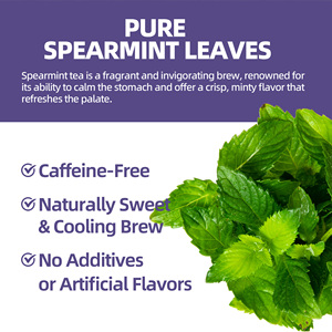 Jiaoming Private Label Spearmint Leaves Tea Pure <strong>Mint</strong> Leaf Bliss for Adults Peppermint <strong>Teabags</strong> - Product Image 4