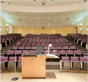 Sistema de Altavoces Line Array Pasivos Profesionales CHORDIO CF-210, Conjunto de Audio Resistente al Agua, Garantía de 2 Años, para Teatro y Conciertos en Vivo - Product Image 6