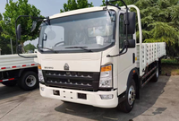 Nouveau camion de bonne qualité Petit camion Camion 10 tonnes Sinotruk Howo 4x2 Camion cargo léger