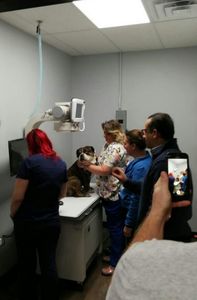 جهاز تصوير إشعاعي رقمي طبي، طاولة أشعة سينية طبية، جهاز أشعة سينية بيطري مع كاشف لوحي مسطح - Product Image 4