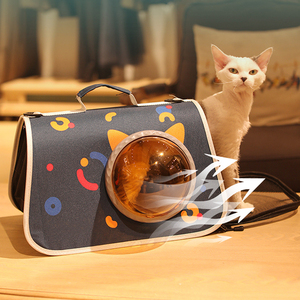 Açık seyahat çantası kedi sırt çantası havayolları tarafından tanınan popüler bir taşınabilir nefes küçük Pet el Crossbody çanta - Product Image 6