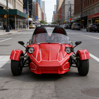Nouvelle Explosion Électrique Hôtel Buggy pour Adultes Électrique Go-Kart Cross Buggy 3 Roues Route Dune Buggy Cadre Transport Spécial