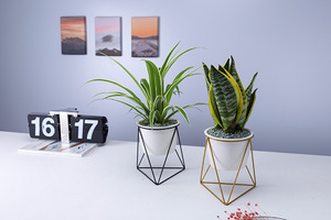 Dropshipping Petit support de jardinière <span class=keywords><strong>en</strong></span> métal Récipient d'intérieur succulent <span class=keywords><strong>en</strong></span> céramique pour décoration de bureau de balcon de cuisine de ferme-pour jardins - Product Image 6