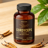 Capsules de Cordyceps directement de l'usine, soutien énergétique cellulaire, maintien de la santé rénale, service OEM/ODM disponible