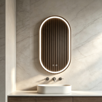 Miroir intelligent LED à commande tactile en forme de pilule, éclairage réglable, fixation murale, cadre argenté pour villa, hôtel, salon
