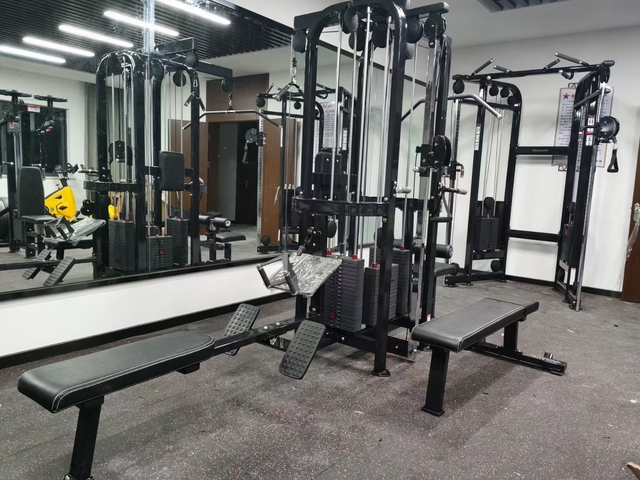 Realleader Unisex Cable Crossover Multi-Jungle Station, Multi-Functional Smith Machine Gym Strength Equipment, 6-Year Warranty