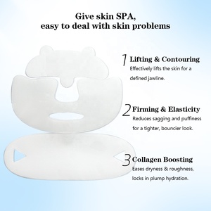 Parches Faciales de Colágeno y Retinol de 3 Zonas, Efecto Lifting, Antiarrugas, Veganos, Marca Privada OEM/ODM, Venta al Por Mayor - Product Image 4