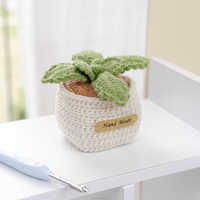 Décorations modernes pour la maison, accessoires de voiture, fleurs artificielles, mini plante succulente en crochet faite à la main