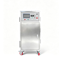 Générateur d'eau ozonisée 3m³ – Machine à eau ozonisée pour la désinfection des ateliers alimentaires et l'assainissement de l'eau industrielle – Dispositif de production d'ozone