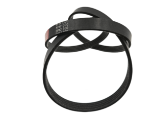 สายพานร่อง PK <span class=keywords><strong>PL</strong></span> PM PJ PH: สายพานร่องวีแบบหลายร่อง ทำจากโพลียูรีเทนและยาง การส่งข้อมูลความแม่นยำสูง การตัดตามขนาดที่กำหนดเอง - Product Image 1