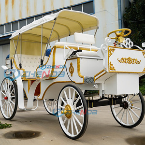 Charrette royale électrique d'extérieur personnalisée, spécialement préférentielle, plusieurs couleurs, charrette électrique sans chevaux - Product Image 1
