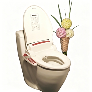 Siège de toilette à chauffage rapide avec fonction lavage pour petits espaces - Product Image 1