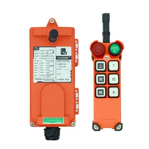 Taiwan TELECRANE F21-E1 Remote Control Industri Nirkabel dengan 6 Tombol, untuk Truk Derek Rig Pengeboran Winch