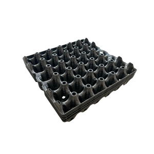 Plateau à oeufs en plastique Incubateur en plastique Plateau à oeufs de poulet <span class=keywords><strong>Caisse</strong></span> d'emballage réutilisable pour 30 oeufs à vendre - Product Image 5