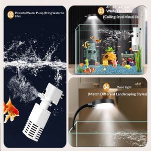 Pecera de escritorio de Bob Esponja, acrílica, resistente a caídas y desgaste, decoración de paisaje simple, juego completo con peces Guppy juveniles - Product Image 4