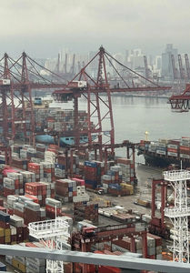 最便宜的亚马逊热销产品海运送货上门从中国到美国英国加拿大德国法国物流服务 - Product Image 6