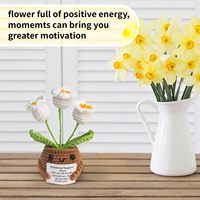 Pot de fleurs en crochet en forme de narcisse, plante en pot tricotée à la main avec citation d'encouragement, joli ornement de bureau