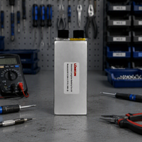 Batterie rechargeable LiPo (Lithium Polymère) LongKun 3.7V 8500mAh 31.5Wh à haute densité énergétique pour drone UAV, robot, OEM/ODM