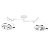Lámpara Quirúrgica Halógena de Doble Cabezal Montada en Techo para Veterinaria Longermay, Lámpara Quirúrgica LED, Precio