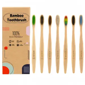 Brosse à dents en bambou OEM à poils de charbon de bois écologique approuvée CE avec emballage et logo personnalisés