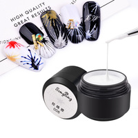 Ensemble de 12 pièces de vernis à ongles en Gel de dessin élastique, peinture de fleur, ligne de traction, Gel créatif Spider Gel Liner