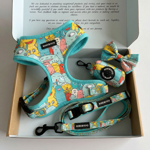 <span class=keywords><strong>BOBO</strong></span>&YOY Ensemble laisse, collier et harnais pour chat et chien de haute qualité, nouveau design, logo personnalisé, réglable, néoprène, luxe, personnalisé, sans traction - Product Image 1