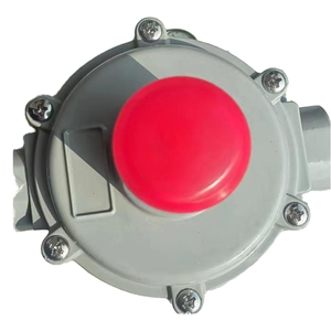 Réducteur de gaz naturel pneumatique en aluminium pour conduite intérieure PN10/PN16 pour chaudière à gaz et alimentation en gaz communautaire - Product Image 2