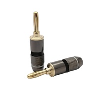 Haut-parleur plaqué or fiche banane 4mm