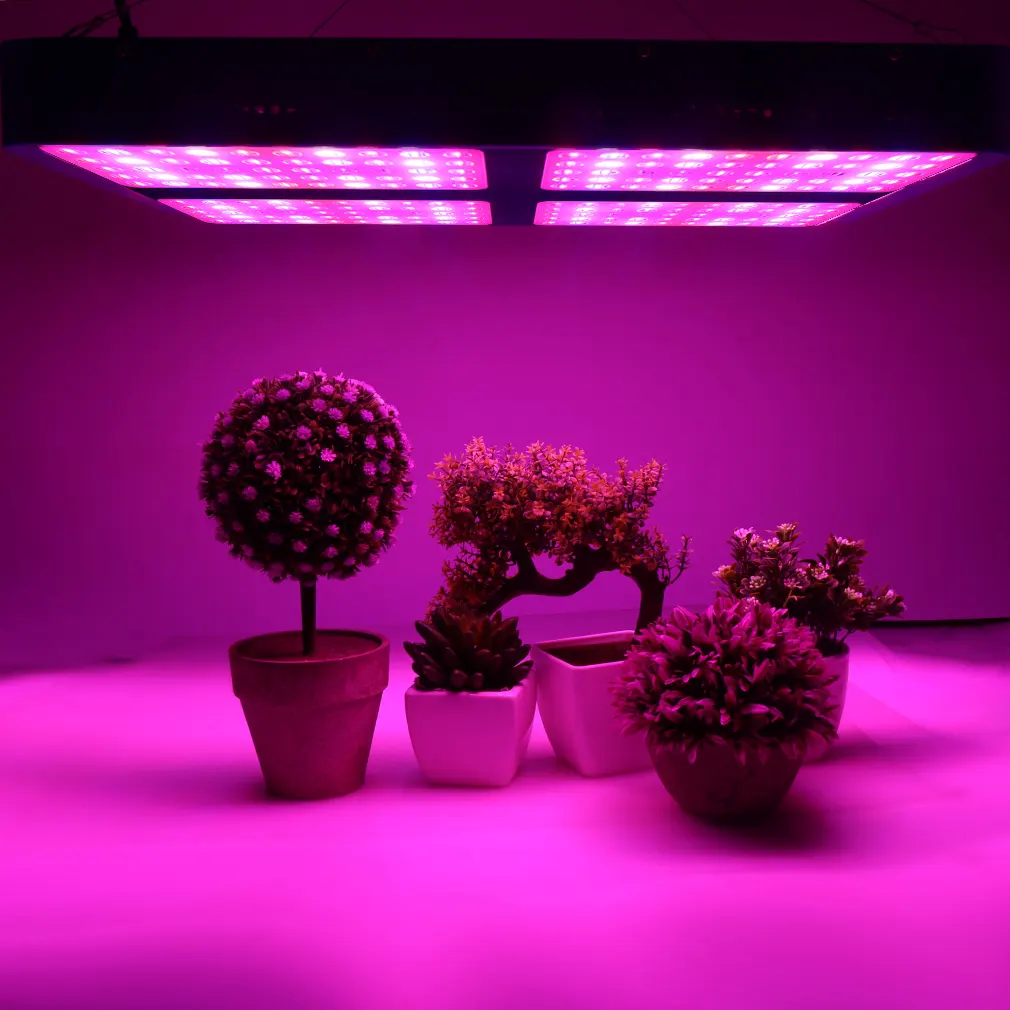 Sinjialight our W تنمو بالضوء الأزرق بأربع عدسات 2x2 لوحة نباتية كاملة الطيف للدفيئة الداخلية مصنع زراعة المزارع