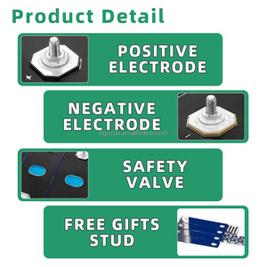 Isi ulang baterai Lithium Ion Catl 172.5ah Lfp Prismatic 3.2v Lifepo4 sel CATL LFP 172.5ah isi ulang - Product Image 5