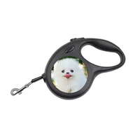 Vente en gros Nouvelle arrivée Laisse rétractable pour animaux de compagnie personnalisée par sublimation Laisse personnalisée de 3m pour animaux de compagnie