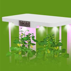 Système hydroponique intelligent à commande à distance, armoire de culture automatique d'intérieur pour légumes, planteur hydroponique pour laitues et herbes - Product Image 6