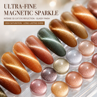 Nouvelle conception, vernis à ongles gel effet œil de chat Hema TPO gratuit, coffret cadeau de Noël, marque privée, kit gel UV pour l'automne, collection en boîte, vente en gros