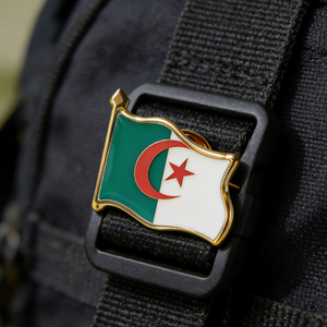 Distintivi Patriottici in Lega di Zinco Smaltati Tricolore, Accessori Elettroplaccati per Diplomatici e Collezioni - Product Image 4