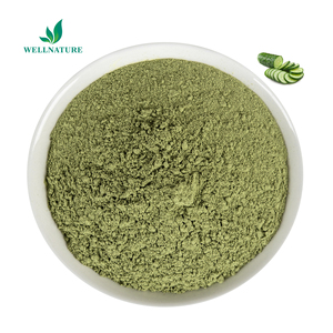 Giá bán buôn dưa chuột chiết xuất hạt bột 100% tinh khiết dưa chuột chiết xuất - Product Image 3