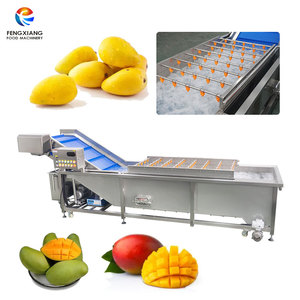 Commercial Mango Air Bubble Washing <b>Machine</b> Mango Fruit Washer Equipment 1500-3000KG/H - Product Image 1