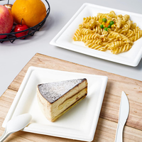 Assiette carrée jetable en bagasse de canne à sucre, biodégradable et compostable, pour la restauration et les événements.