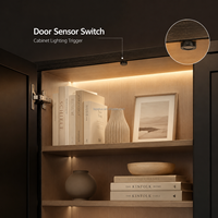 Sakelar Lampu LED Otomatis Aktif dengan Pintu Otomatis 12V/24V Kabel Kontrol Pusat untuk Lampu Lemari/Pakaian-FREE-08C-23