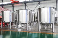 Nouvel équipement de fermentation Tonsen pour la bière avec cuve sous pression et pompe PLC - Capacité 1000L pour usage domestique