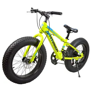 Bicicleta de nieve de 20 pulgadas para adultos, llanta de aleación de aluminio de 4,0 de ancho, bicicleta de playa de 7 velocidades