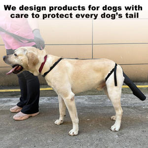 USMILEPET Pet <span class=keywords><strong>Dog</strong></span> Esportes Cauda De Segurança Protetor De Pele Proteção Proteger Terno Pet <span class=keywords><strong>Dog</strong></span> Cauda Capa Protetora - Product Image 6