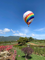 Balon Udara Panas Ukuran Standar Luar Ruangan yang Sangat Menyenangkan, Warna Dapat Disesuaikan, Tahan Cuaca, Bersertifikat CE, Ditiup dengan Pompa Listrik