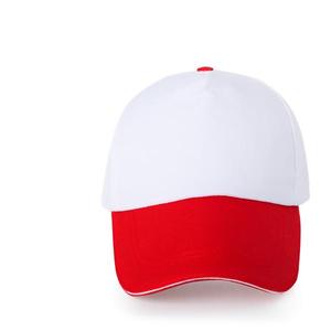 Mode pas cher hommes vente en gros personnalisé brodé papa chapeau baseball velours velours casquette casquette de baseball chapeaux - Product Image 4