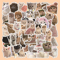 50 autocollants en vinyle PVC amusants pour chat, personnalisés, imperméables, mignons, pour journal, vélo, style Kawaii