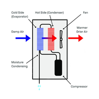 DH-C10 10L Penghilang Kelembapan Industri Kompak Cerdas dengan Kompresor, Kontrol Kelembapan Relay, dan Selang Pembuangan