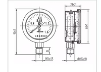 OEM Manufacturer High Precision Digital Pressure Gauge psi Hydraulic Digital Vacuum Pressure Digital Gauges