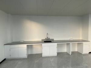 Muebles químicos, bancos y gabinetes superiores de laboratorio, gabinete de almacenamiento de productos químicos, banco de trabajo de pared lateral para empresa farmacéutica - Product Image 6