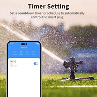 Prise de télécommande étanche WiFi robuste pour l'extérieur avec compatibilité avec assistant vocal Aucun concentrateur requis